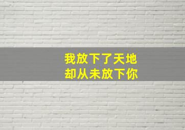 我放下了天地 却从未放下你